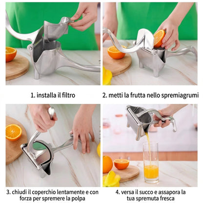 Spremiagrumi Manuale Metallo Leva Cucina Professionale | Fonteverde