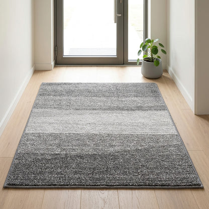 Tappeto Lavabile per Ingresso con Design Assorbente e Base Antiscivolo | Delafiore